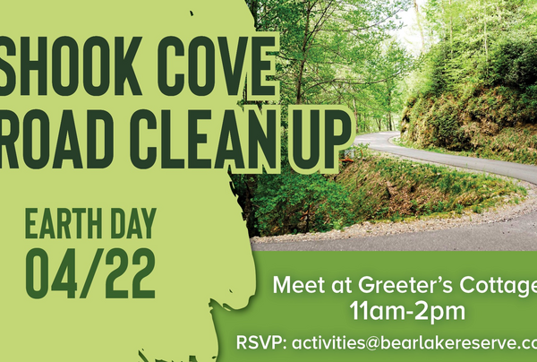 Shook Cove Road Clean Up