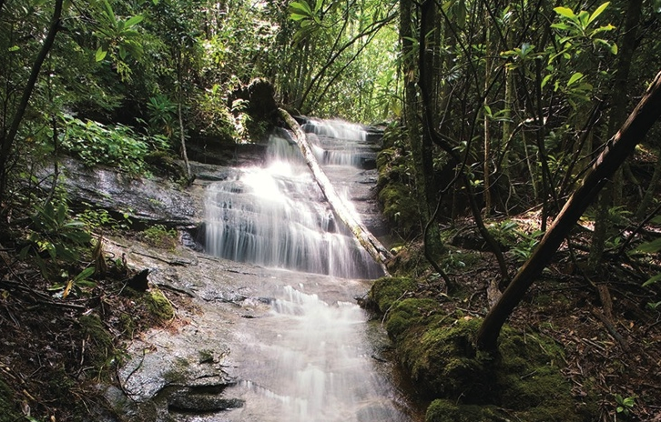Guided Hike: Bear Pen Branch Falls