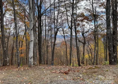 fbeaffdcebbecef full