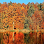 Screenshot at .. PM