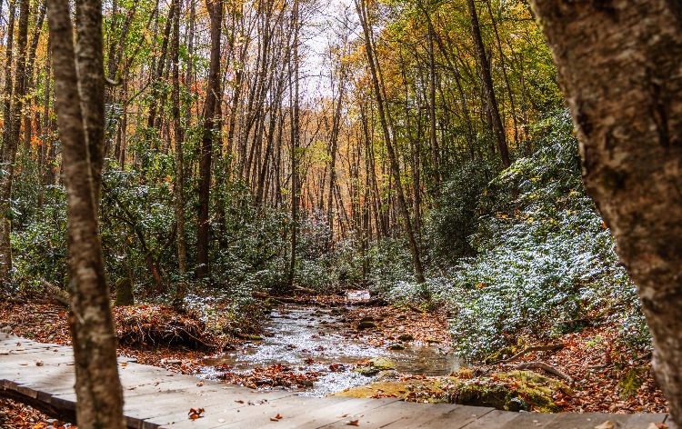 Morning Sound & Breath by the River