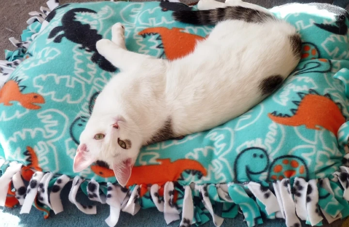 Screenshot at .. AM