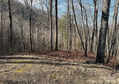 cdefbeecbdaeff cc ft