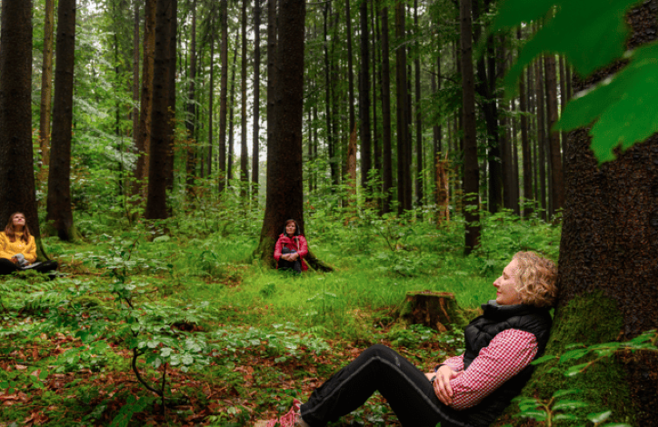 Screenshot at .. PM