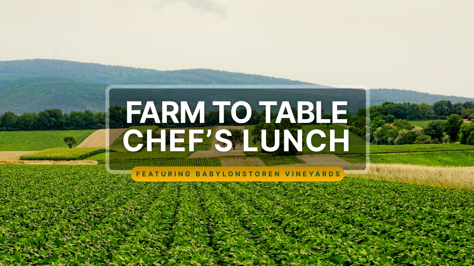farm to table lunch ()