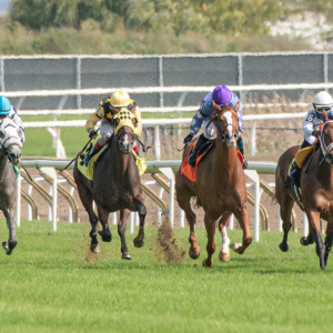 website event banners ()