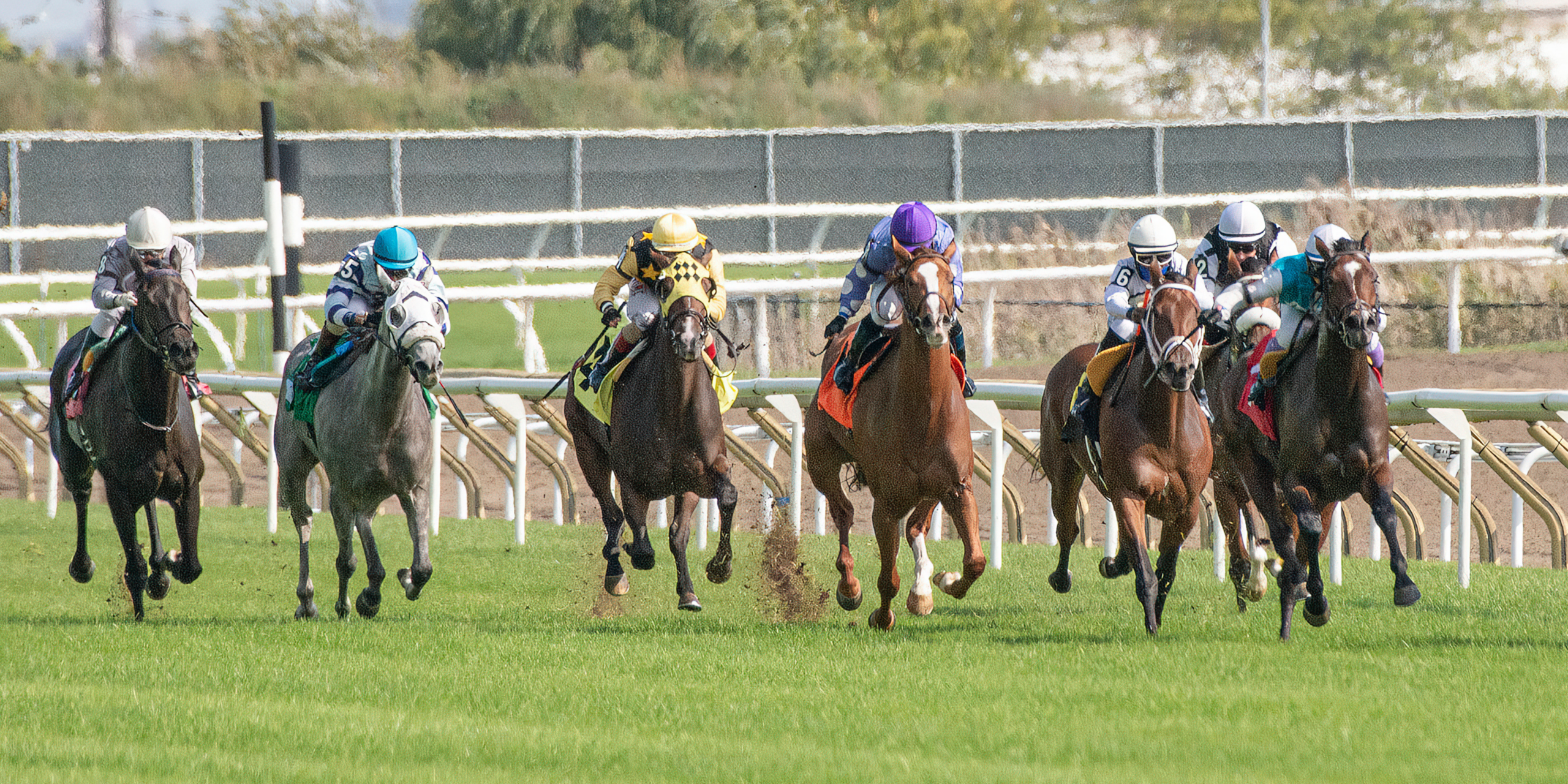 website event banners ()