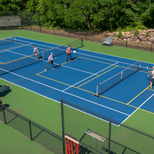 website banner pickleball