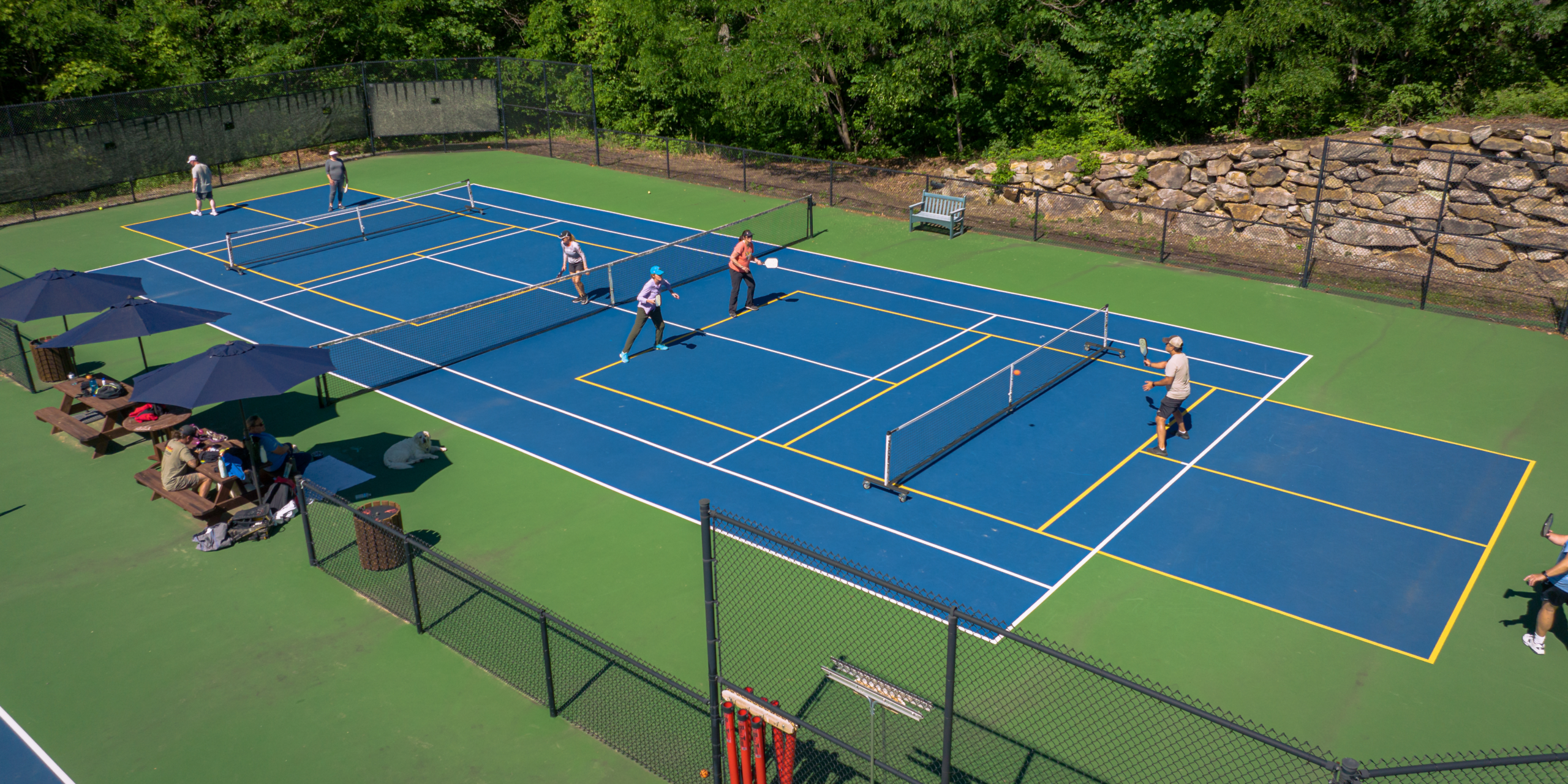 website banner pickleball