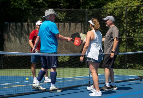 website banners pickleball