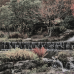 website event banners ()