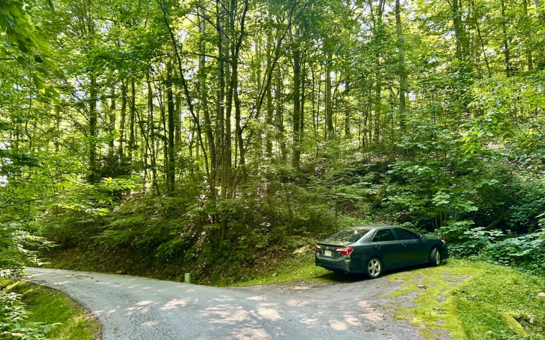 57 Morningside Drive