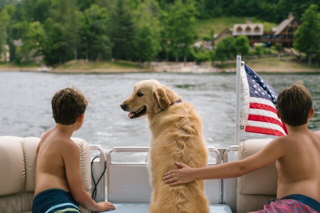 Life's not so ruff when your day looks like this! 🐾🚤

#lakeviews #boatday #bearlakereserve
BLR Realty, LLC