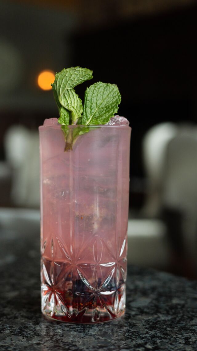 Introducing the Bluebear Lemon Delight! 🍋🫐 This refreshing cocktail is a fruity blend of Tito’s Vodka, Blueberries, Lemonade, Mint and Simple Syrup.

#bearlakereserve #cocktail #lakeclub
BLR Realty, LLC