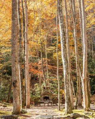 Colors of fall, warmth of the fire, and the company of friends and family. Sometimes the simplest escapes are the ones that stay with us the longest. 🍁
Visit Bear Creek Park and make your own autumn memories. Link in bio.
#bearlakereserve #fallfoliage #mountaingetaway #naturesbeauty
BLR Realty, LLC