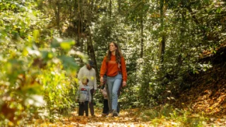Trails to wander, peaks to conquer, and sights that take your breath away. Our guided hikes are your gateway to adventure. 🥾⛰️
Begin your journey at Bear Lake Reserve by visiting the link in bio.
#bearlakereserve #guidedhikes #hikingtrail #mountainadventures
BLR Realty, LLC