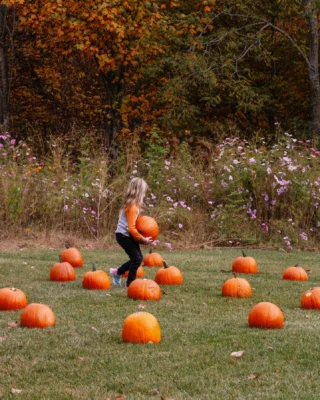 Happy Halloween from Bear Lake Reserve! May your day be filled with magic, treats, and maybe a spooky surprise or two. 👻🎃
Celebrate every season with us and make lasting memories with friends and family. Book your stay at the link in bio.
#bearlakereserve #halloweenfestivities #pumpkinpatch
BLR Realty, LLC