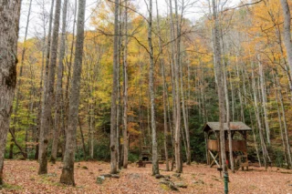 As the final leaves fall and the mountains settle into winter’s quiet, we’re grateful for the beauty that surrounds us and the community that brings Bear Lake Reserve to life. Happy Thanksgiving from our family to yours! 🍁

Plan your winter retreat now at the link in bio.

BLR Realty, LLC