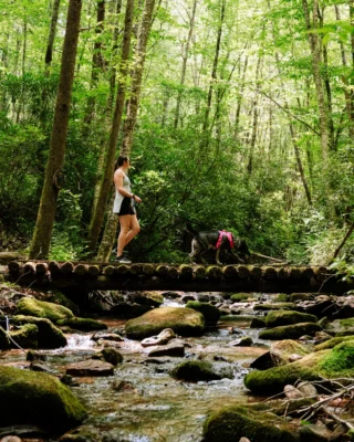 Wellness starts with a walk in the woods.

Discover scenic trails, fresh air, and moments that restore your mind, body, and soul at Bear Lake Reserve.

Book your trip at the link in bio. 

#MountainResort #HikingTrails
BLR Realty, LLC