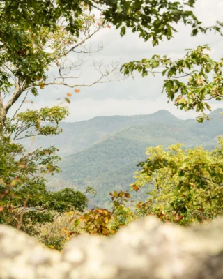 Take the scenic route. 

From leisurely lakeside strolls to heart-pumping climbs, Bear Lake Reserve offers unforgettable hiking experiences for every fitness level. 

Gear up for your next adventure at the link in bio. 

#MountainResort #HikingTrails
BLR Realty, LLC