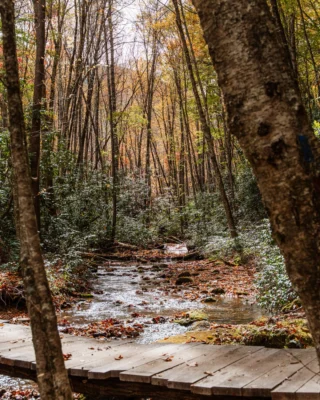 Trade screen time for trail time this fall. 

Discover your next adventure at the link in bio. 

#MountainResort #HikingTrails
BLR Realty, LLC
